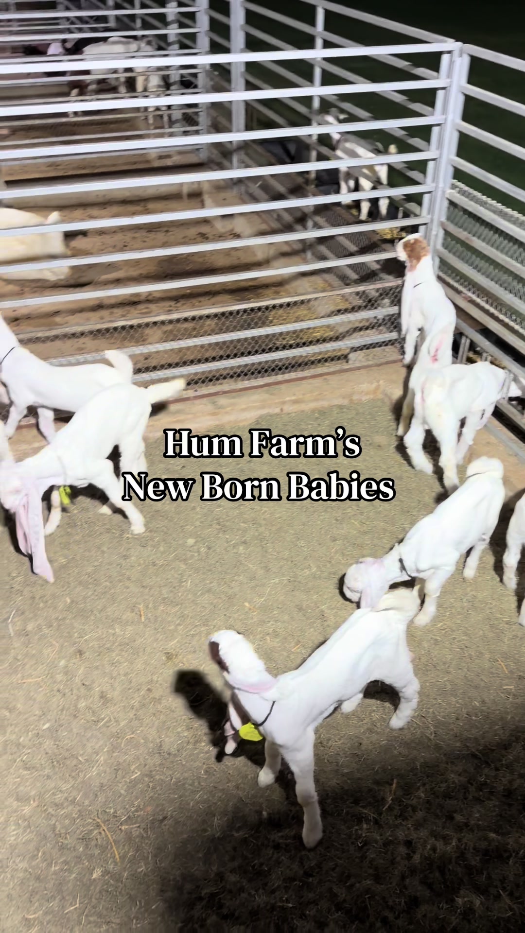 @Hum Farm