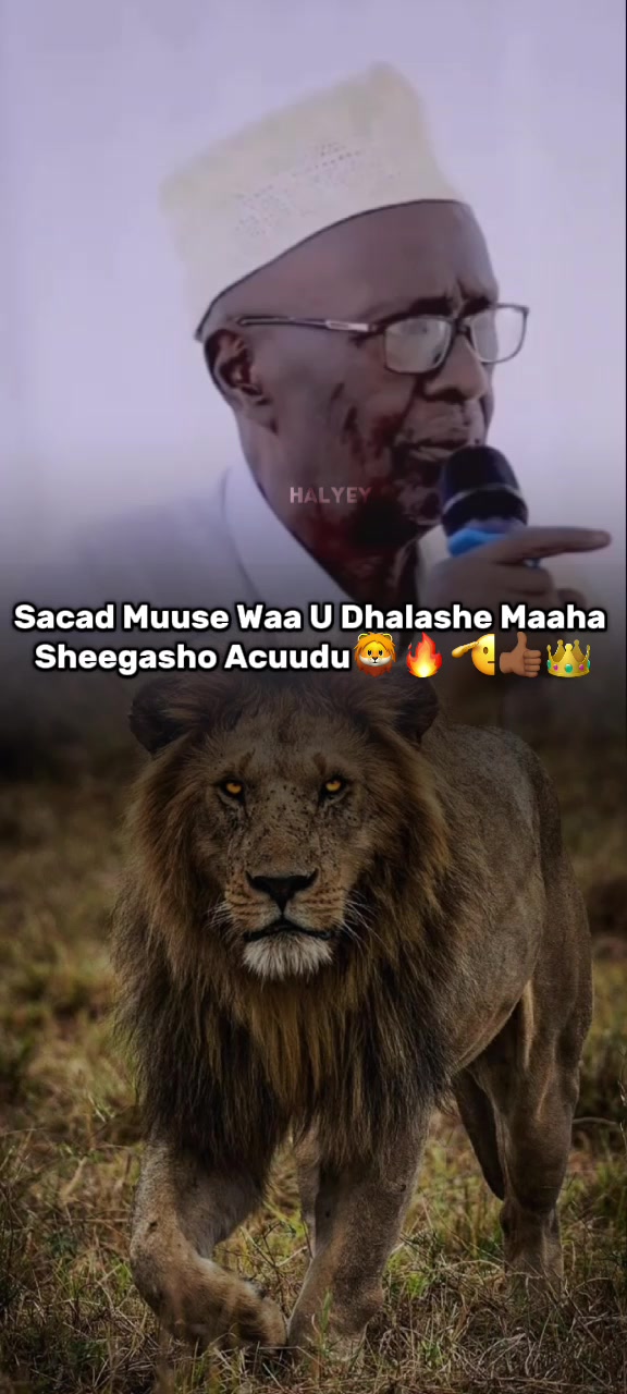 @𝐇𝐀𝐋𝐘𝐄𝐘_𝐒𝐏𝐒𝐀★𝐂B⁸⁸🦁