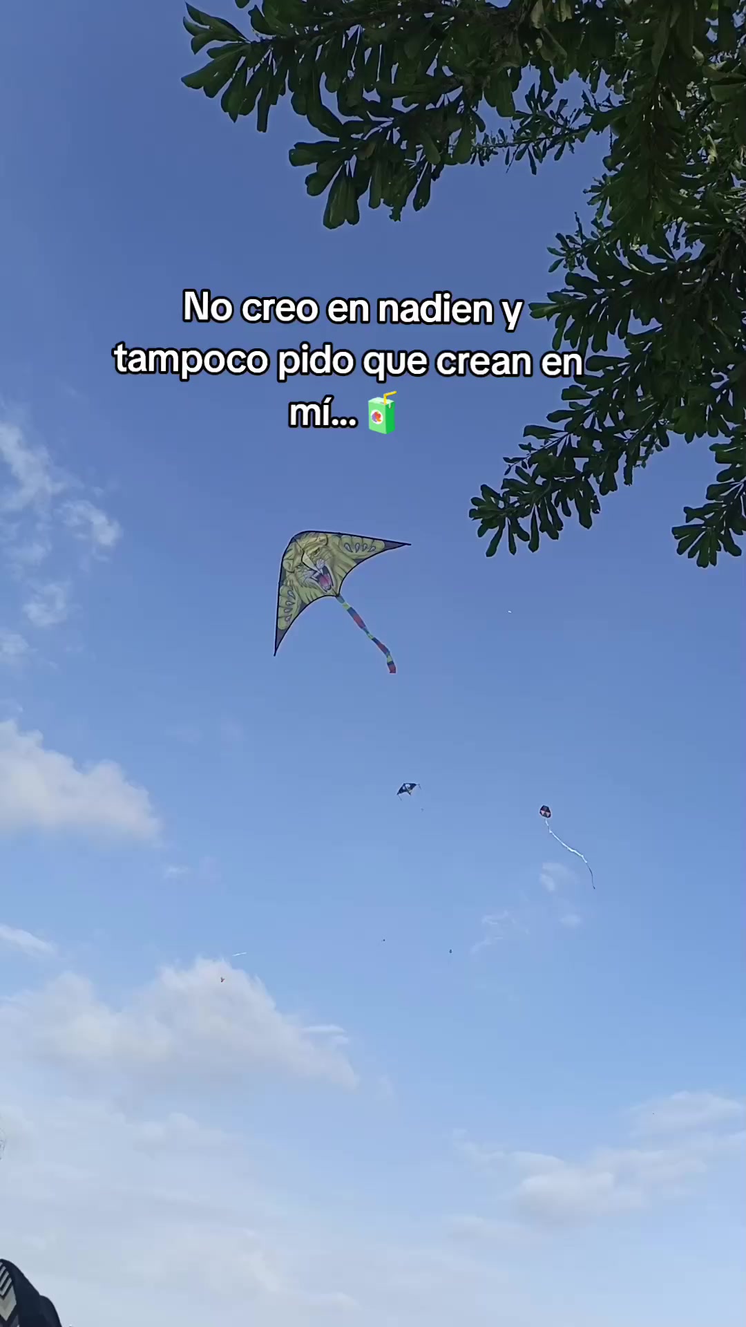 @𝚊𝚗𝚐𝚒𝚎 𝚕𝚘𝚙𝚎𝚣.