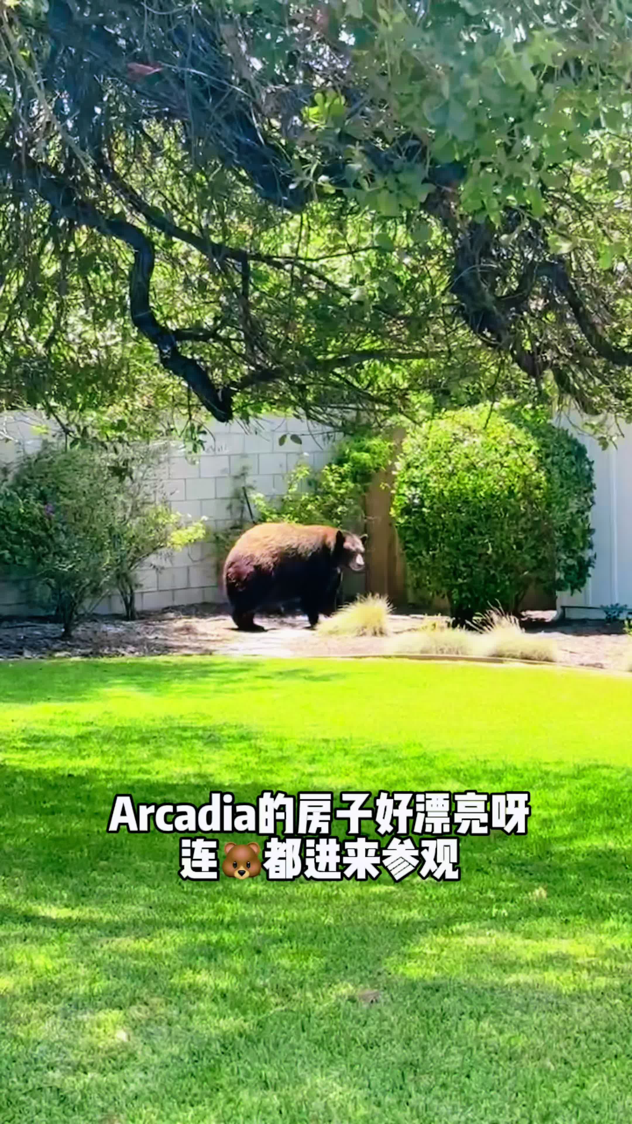 @洛杉矶大帅美房