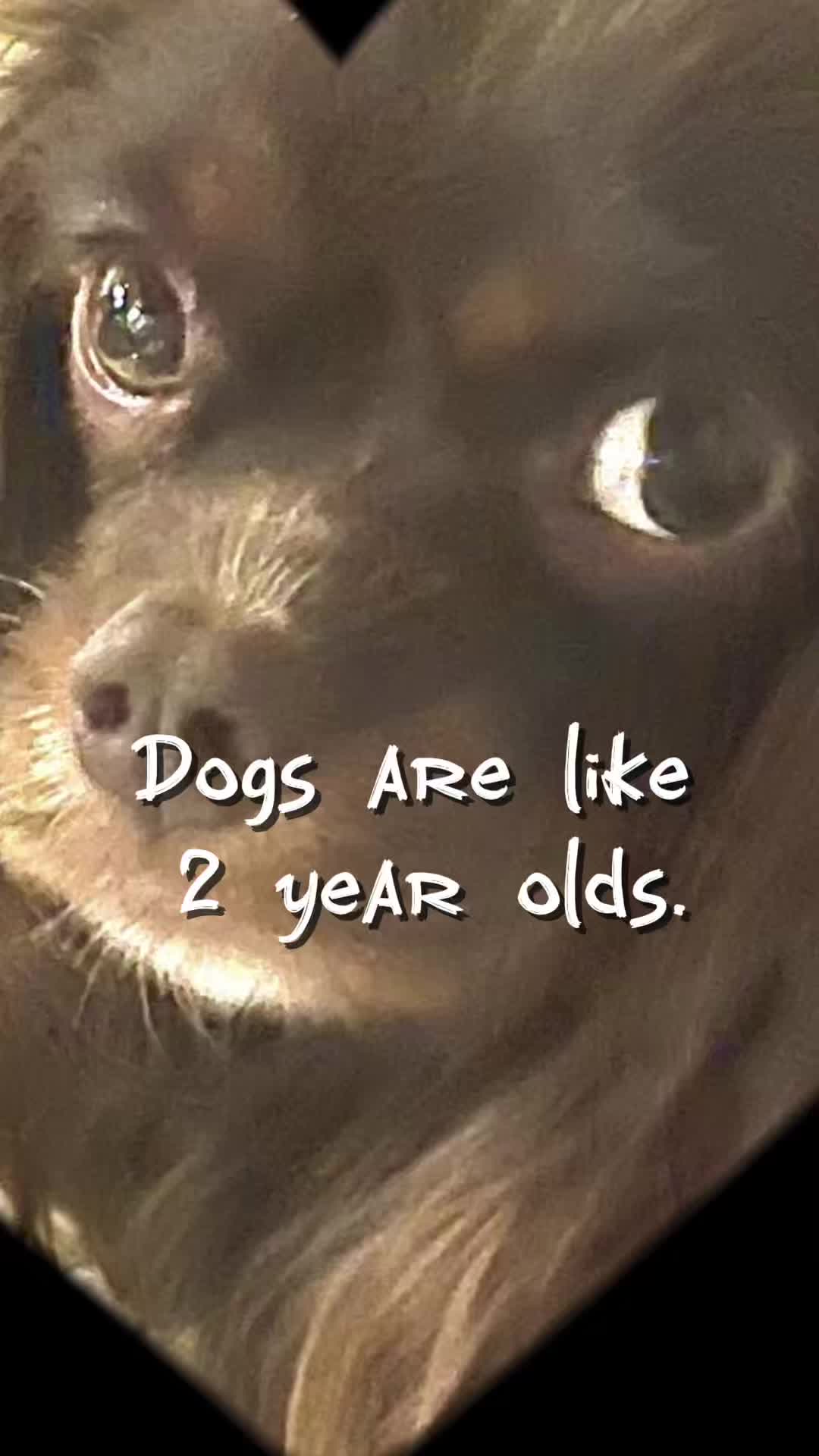 @raggetysam