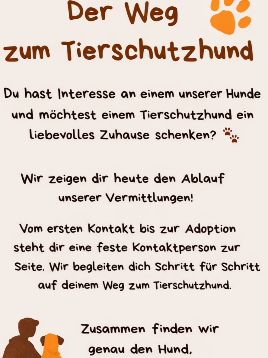 @Hundehilfe Bakony e.V.