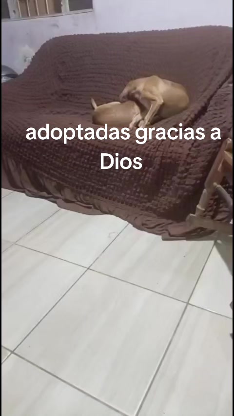 @casa hogar milagros 505 🇳🇮