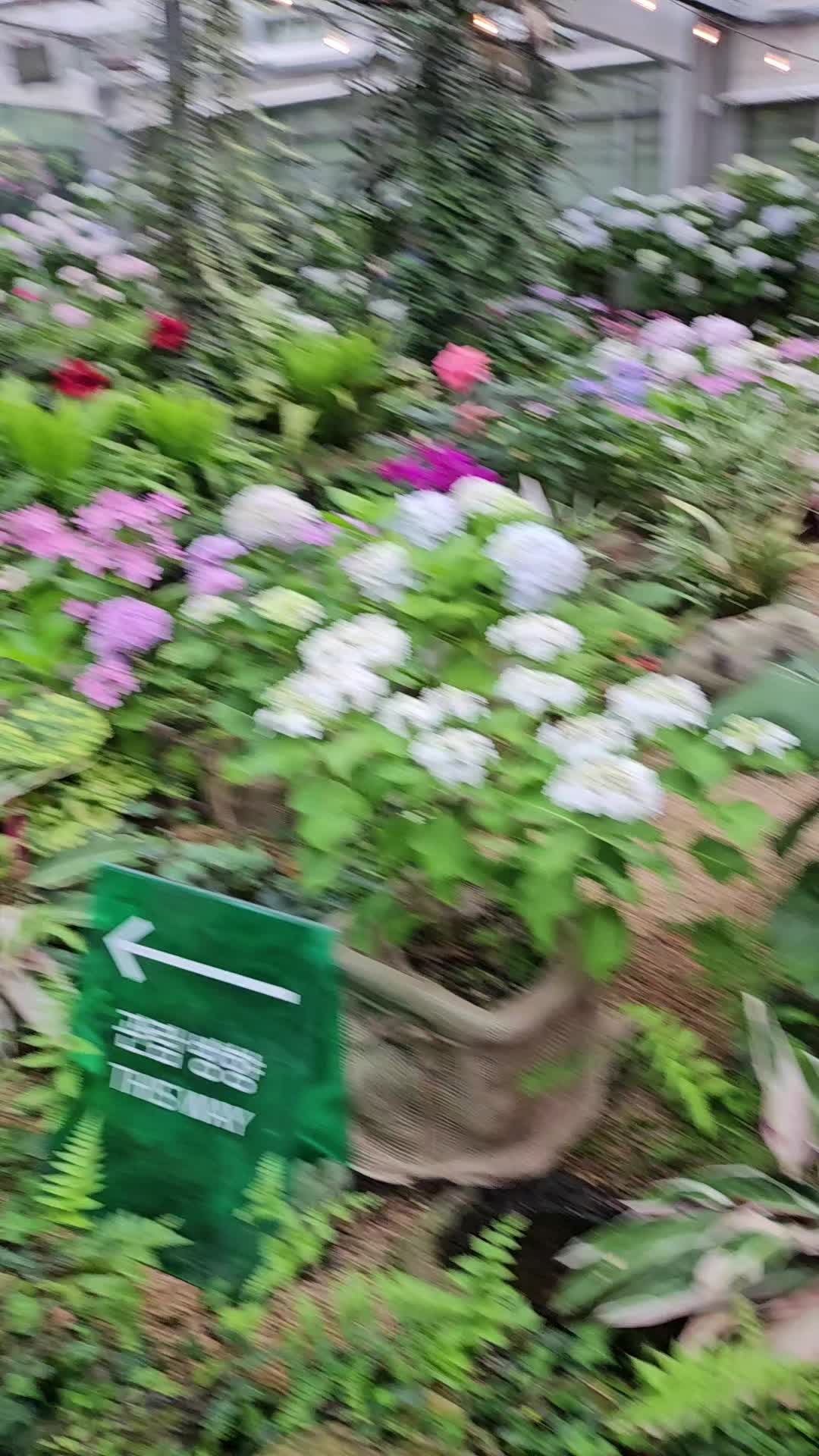 @user66947732307721