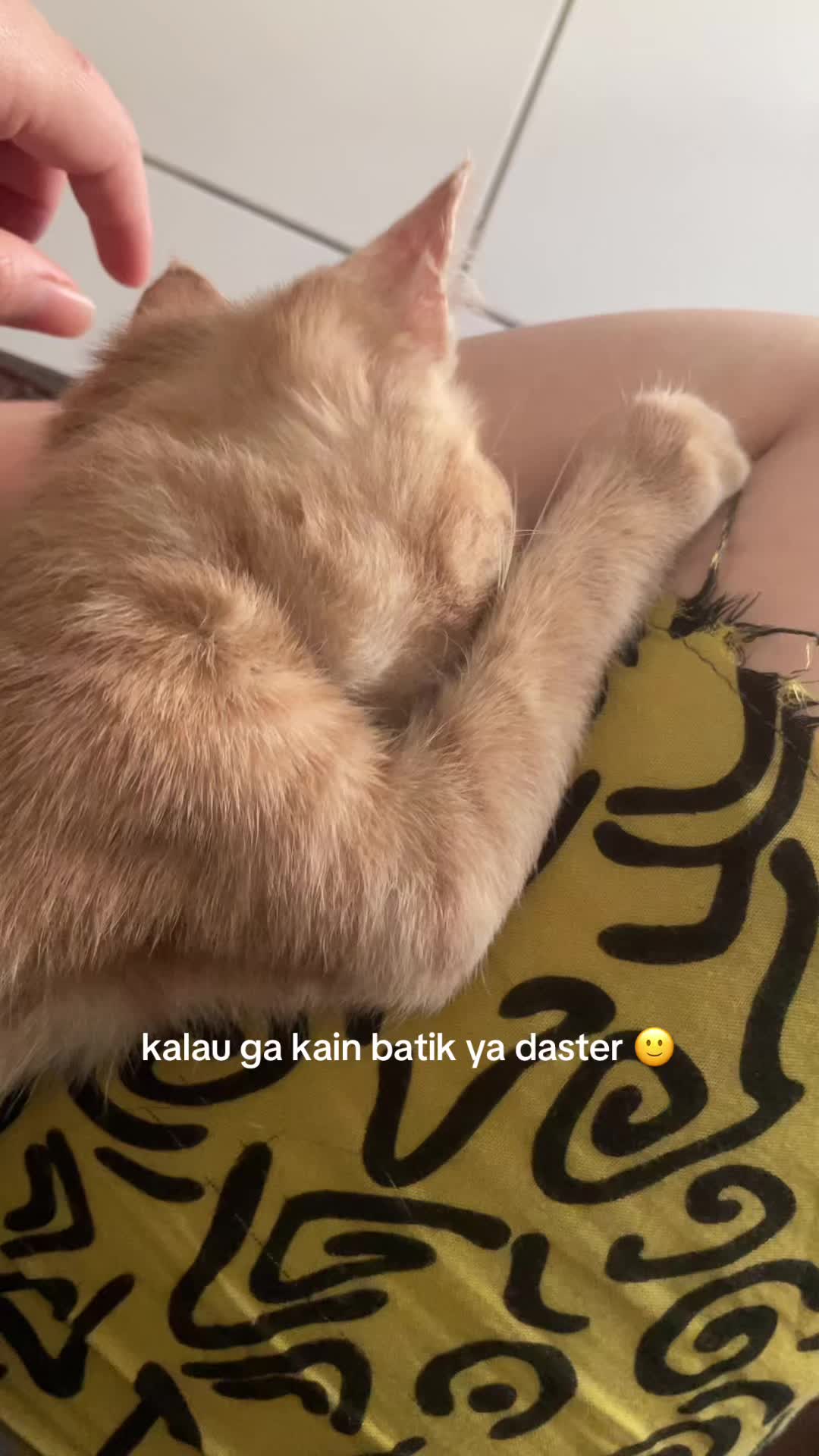 @ivankatrixiani