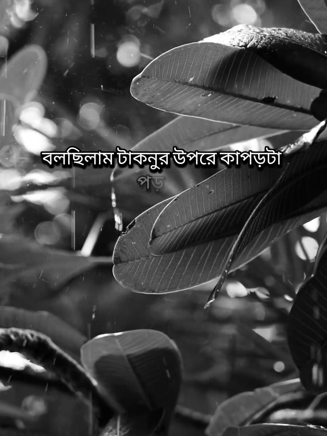 @𝑹𝒂𝒋𝒐𝒏 𝑨𝒉𝒎𝒆𝒅💫🍁