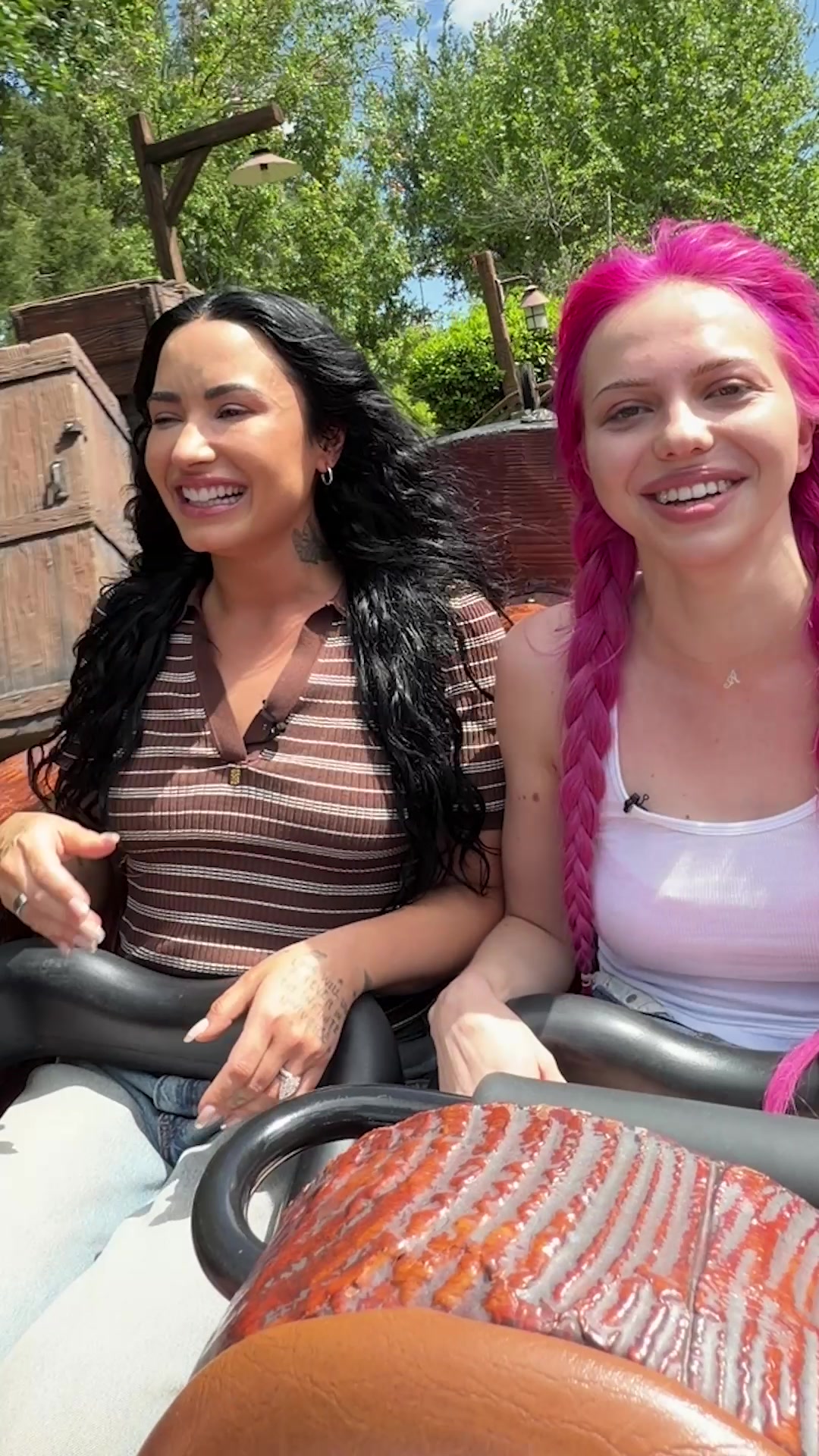 @Disney Parks