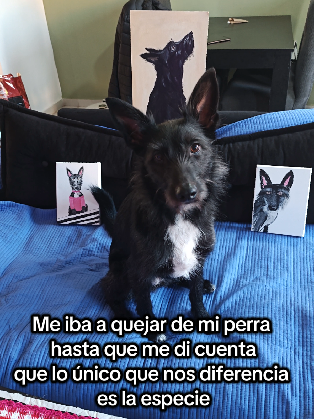 @Meli