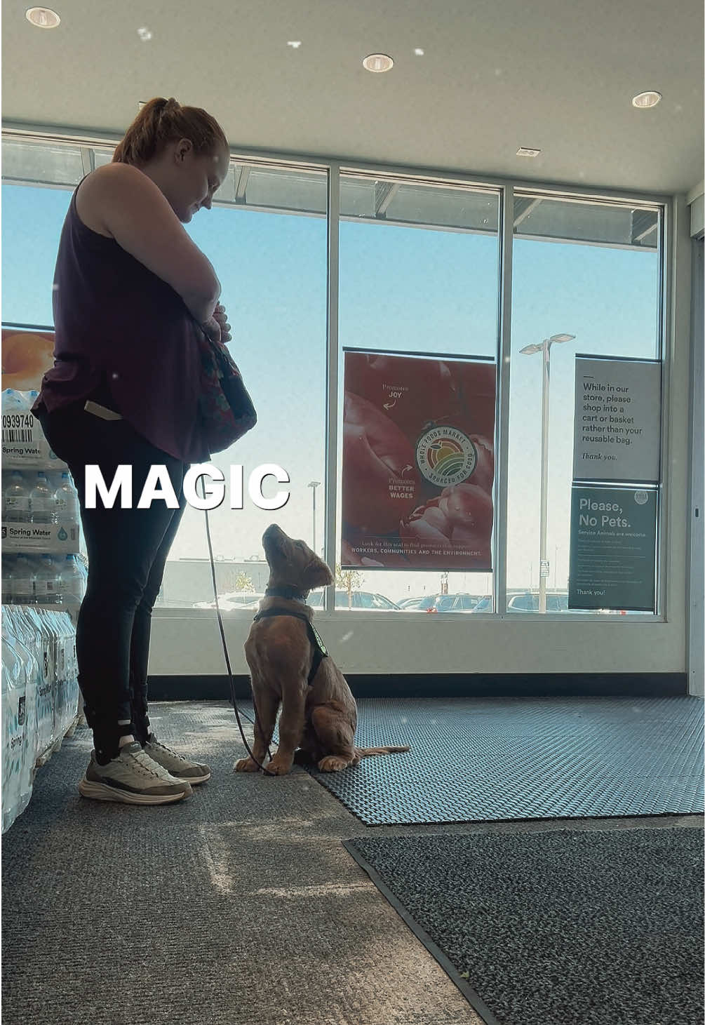 @potsiewithdogs