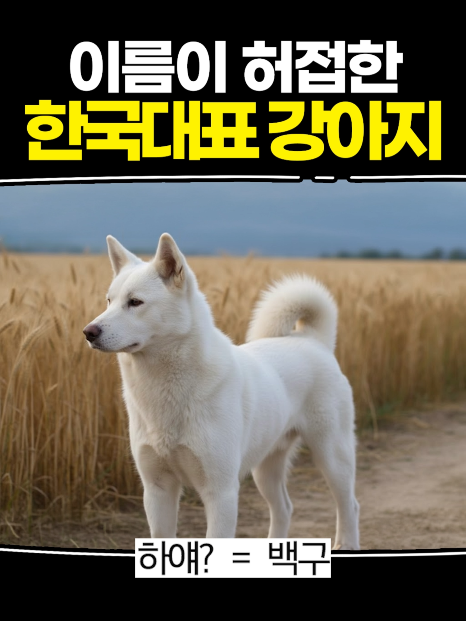 @악동김블루