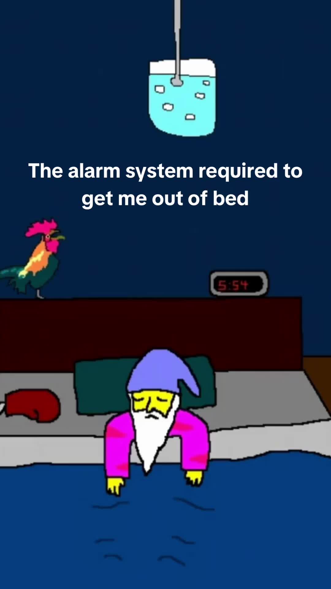 @RISE app