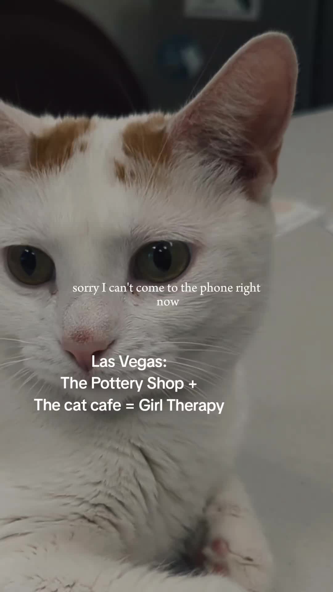 @thepotteryshoplv