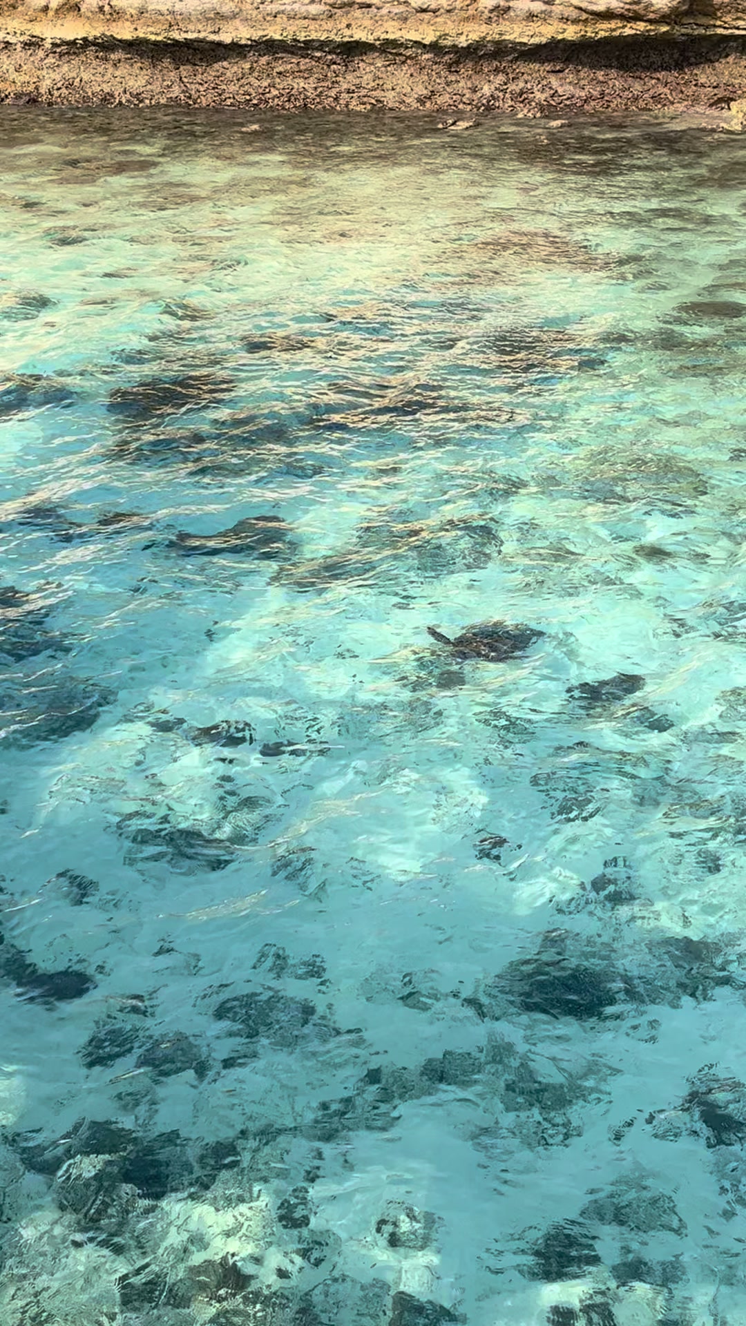 @WathyE1983