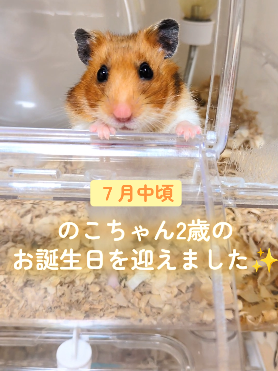 @たぴと仲間たち