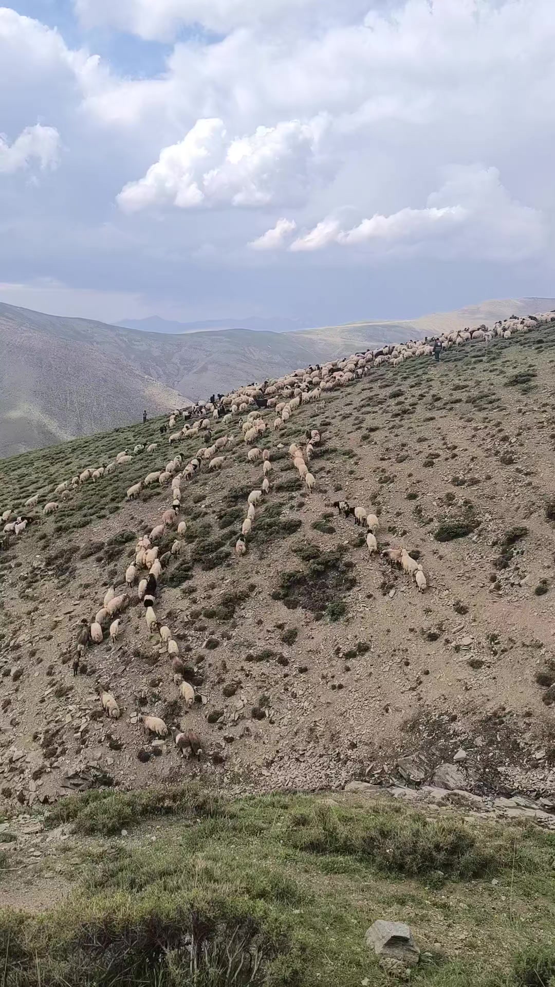 @RIDVAN 65📸📽️