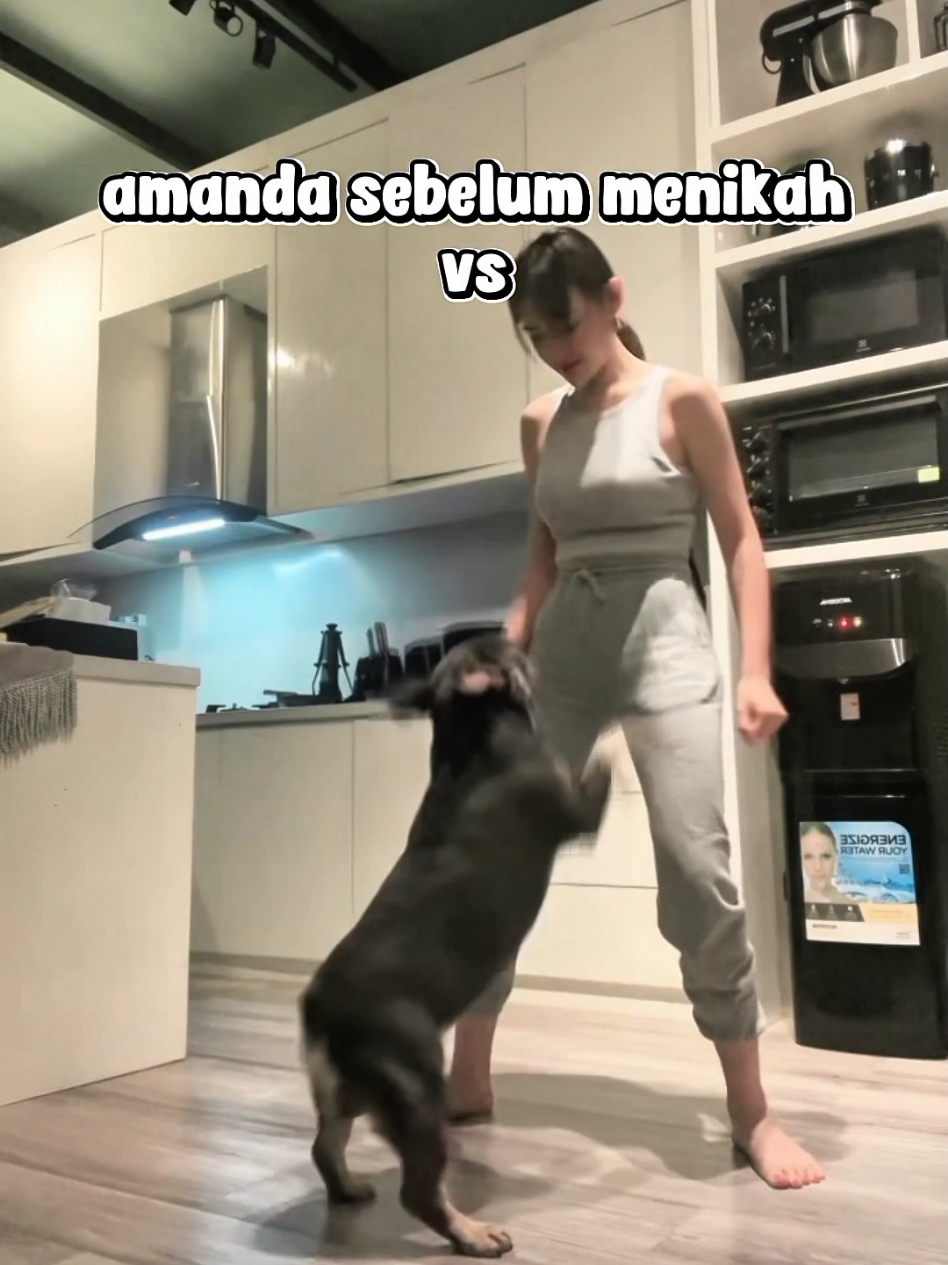 @anciklip