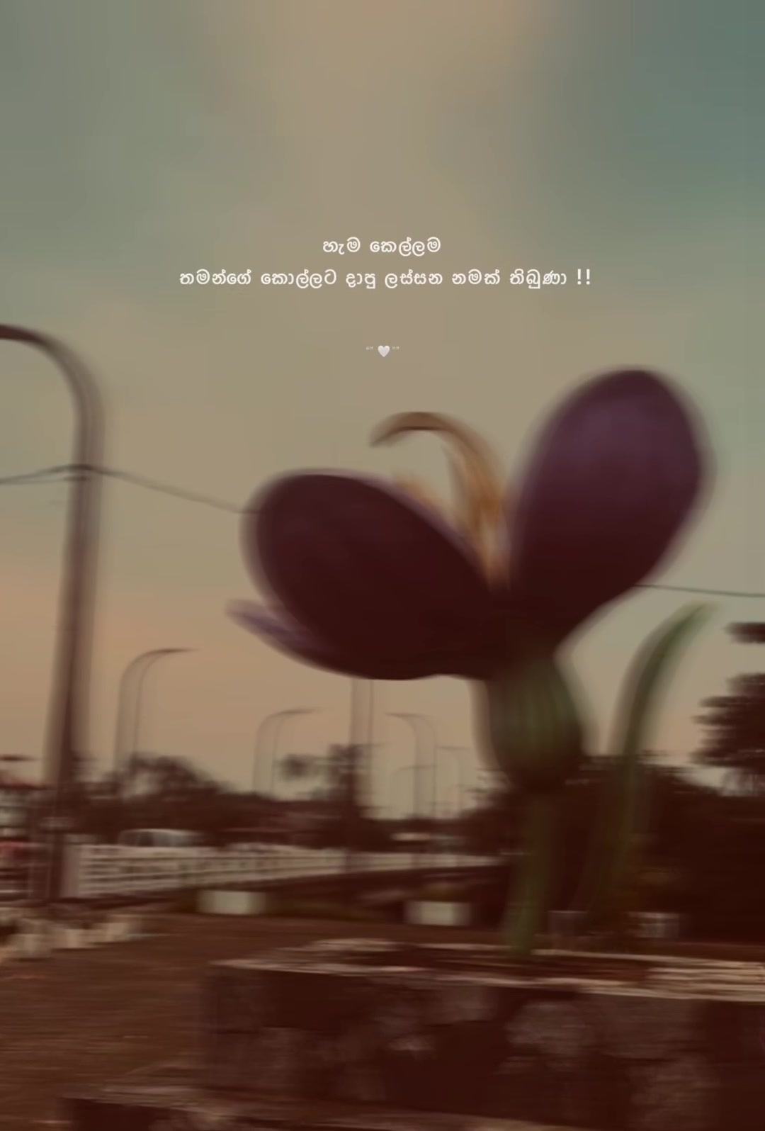 @𝐋𝐨𝐨𝐑𝐚𝐚 ♡ 🐋✨