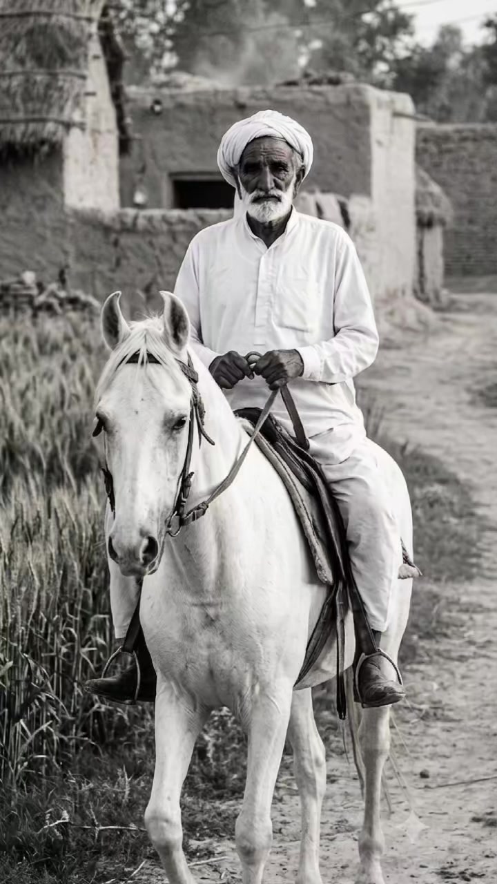 @Ali Raza Bhatti