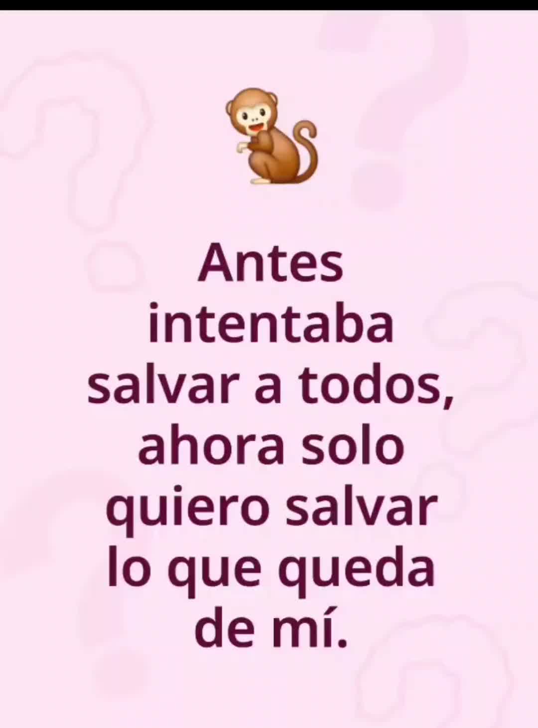 @el panda solitario