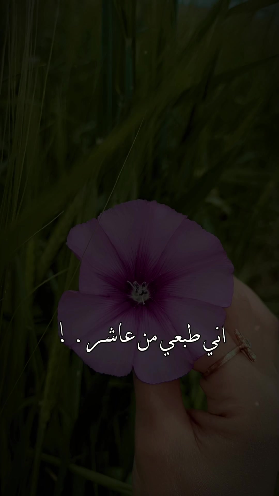 @💗ريــهــام💗🧸