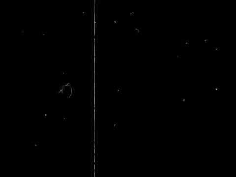 @✨ 𝐒𝐀𝐃𝐈 📸