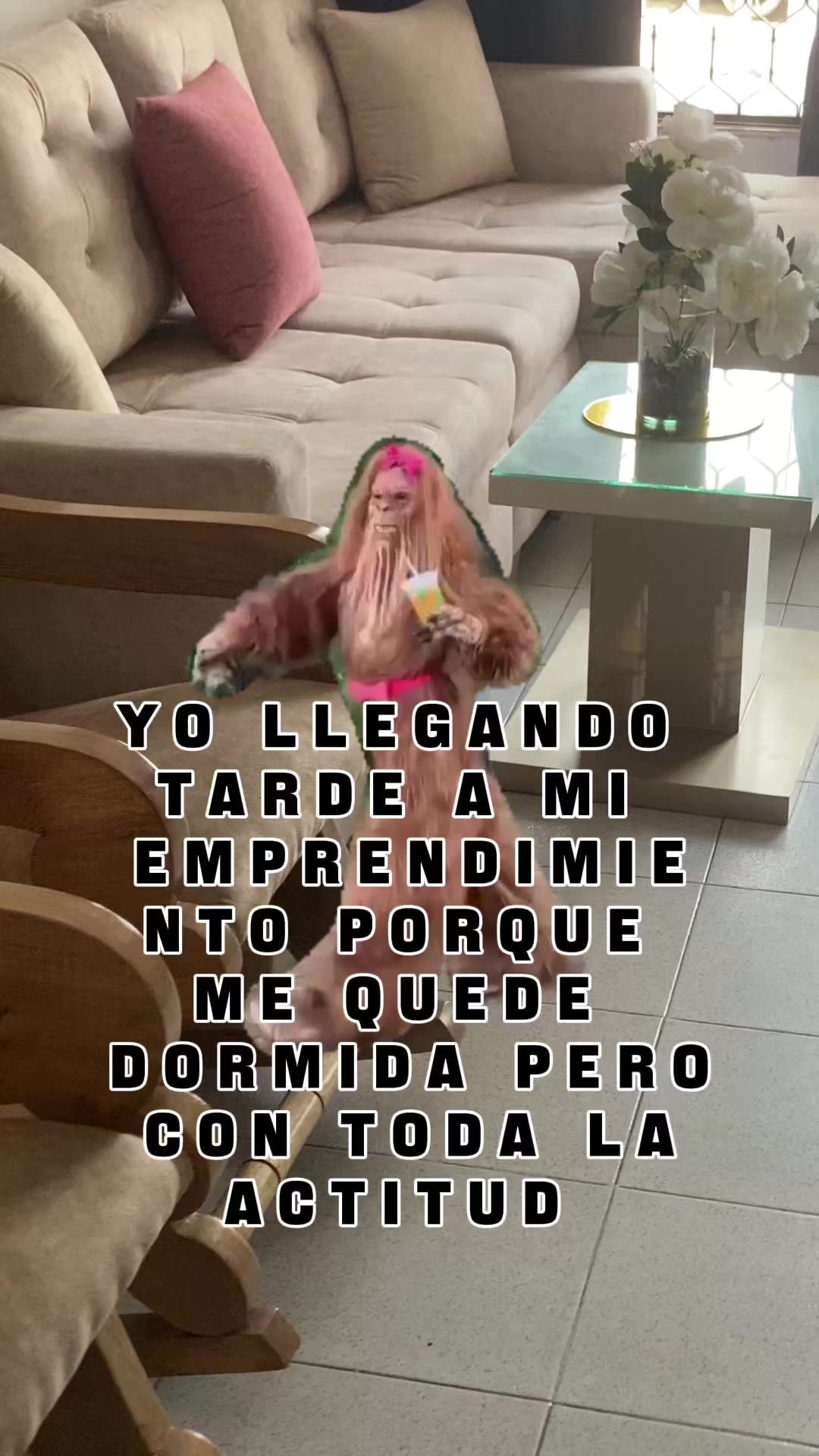 @LuzMovilla