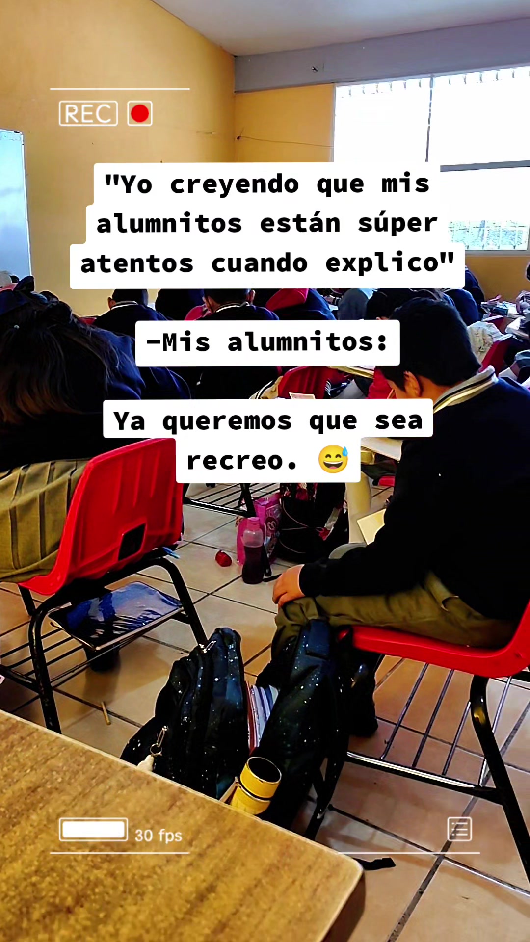 @👩🏻&zwj;🏫MissFuentes🍎🖍️✨🪺🦗