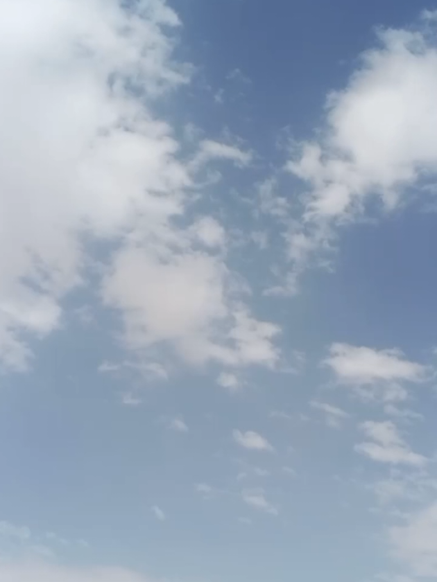 @đ¸đĻâī¸shimulbagan_1âī¸đ¸đĻ