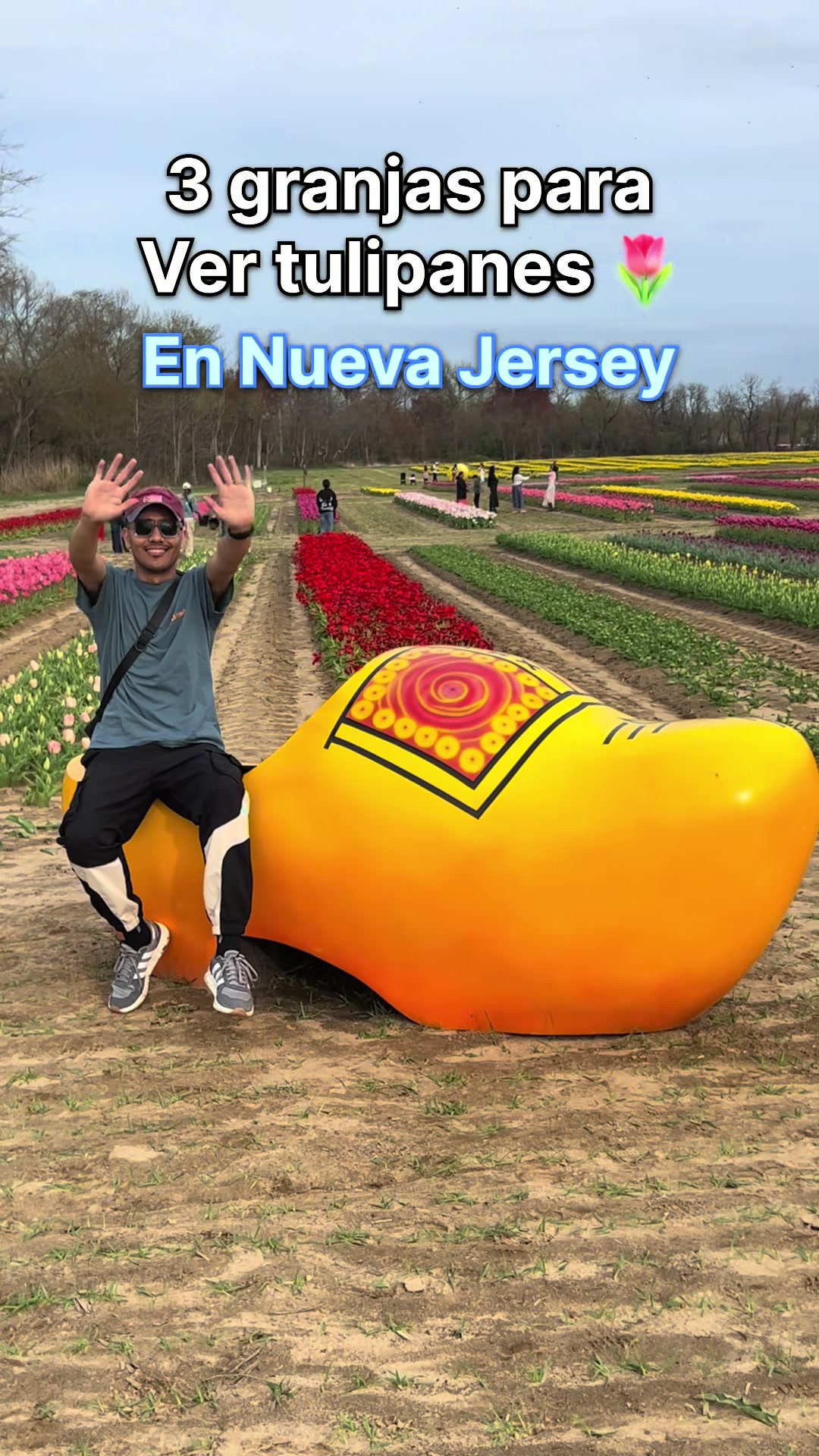 @Camilo Núñez