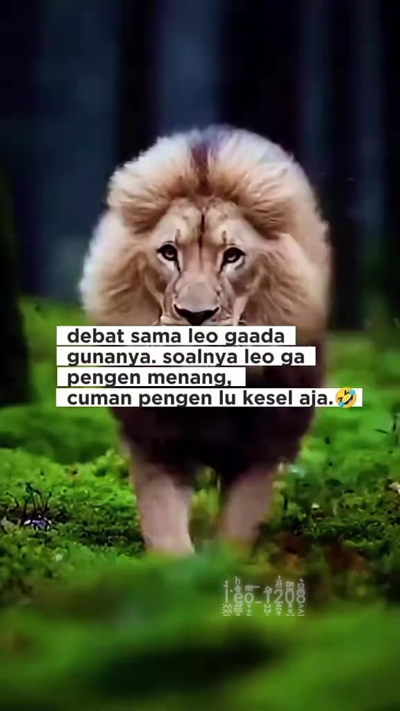 @𝕝𝕖𝕠_𝟙𝟚𝟘𝟠