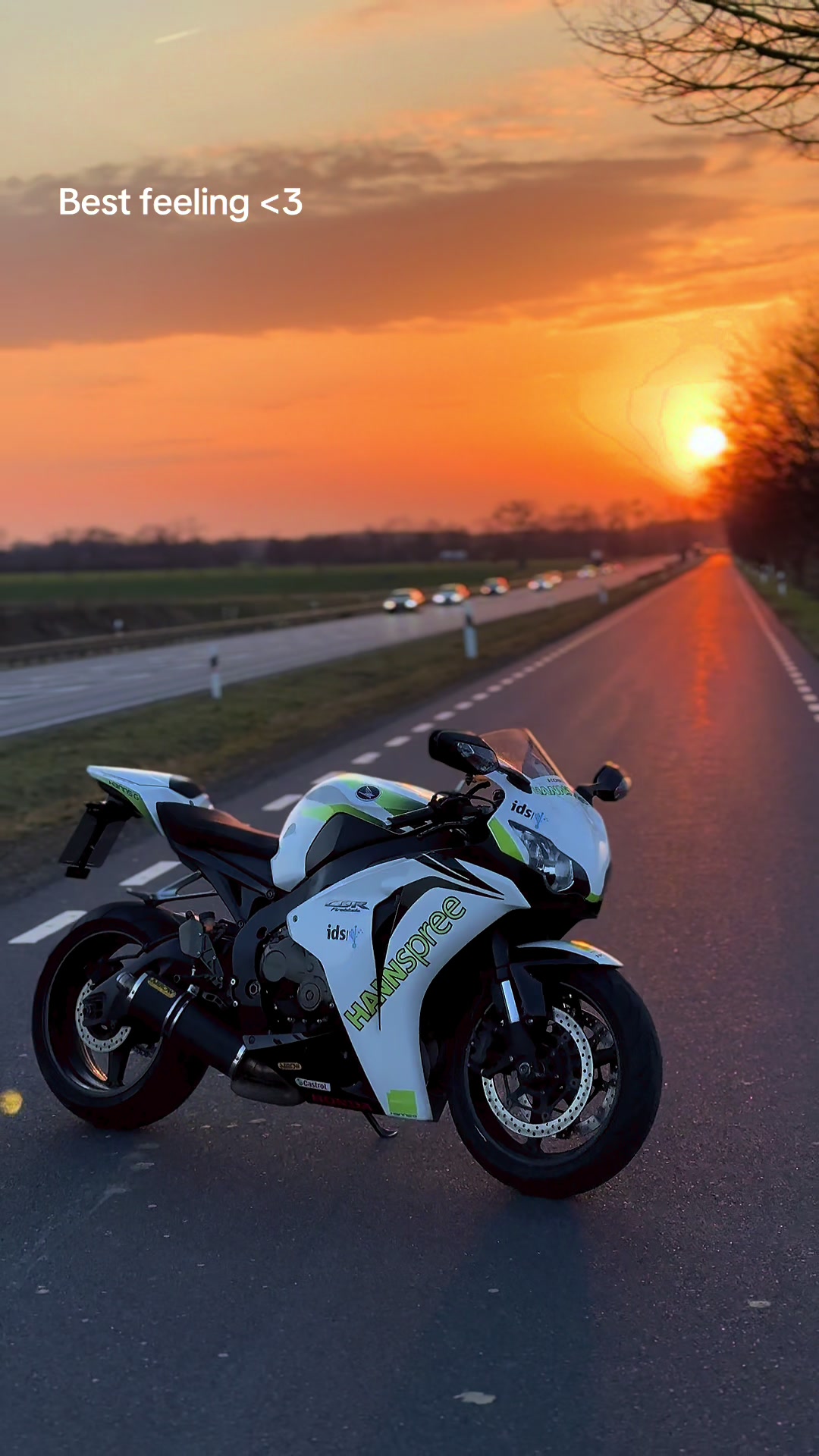 @lisa1000rr