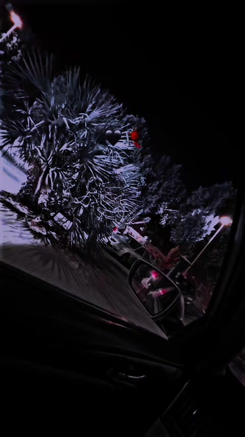 @Aʟᴏɴᴇ 𓆩🕊️𓆪 Wɪᴛʜ Aʟʟᴀʜ