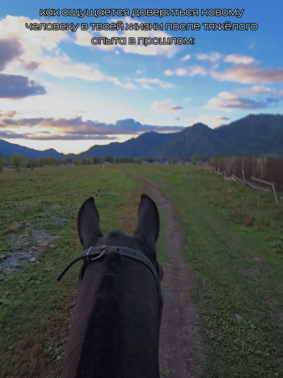 @tg: altaihorses