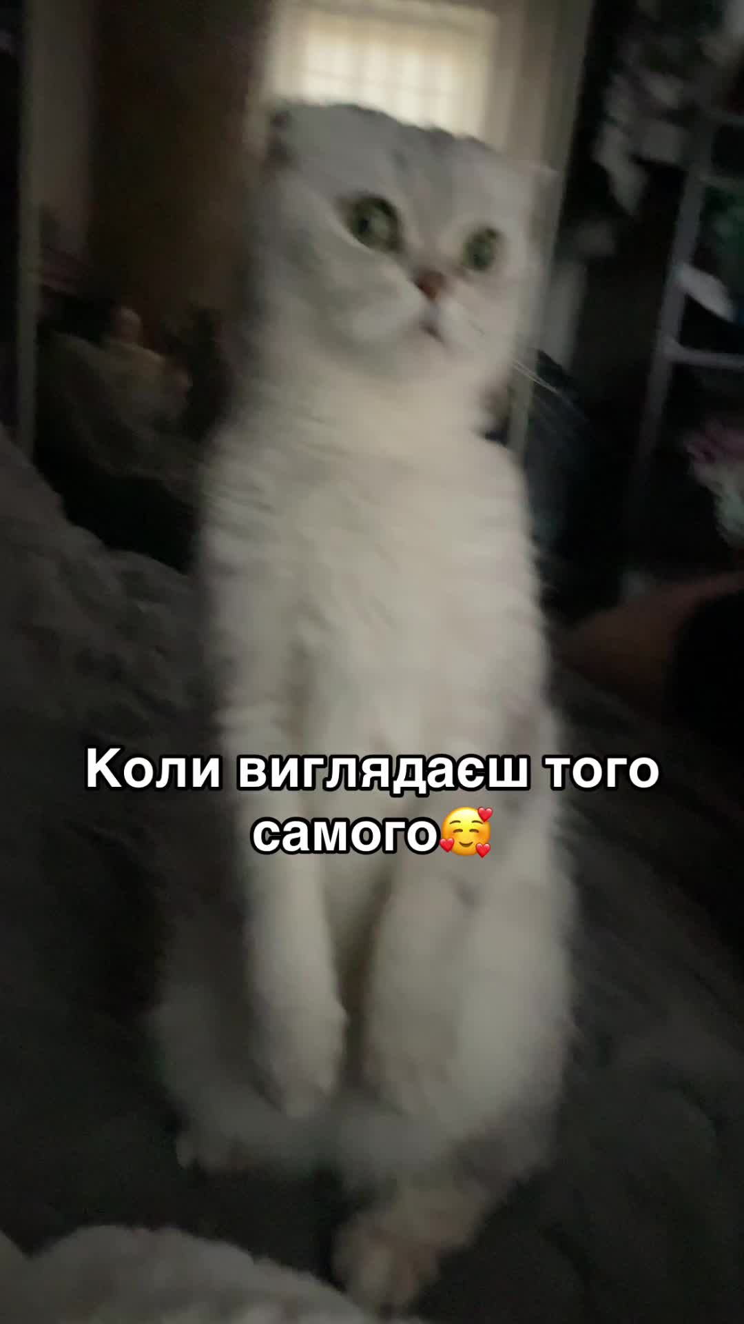 @Alina_Zhura
