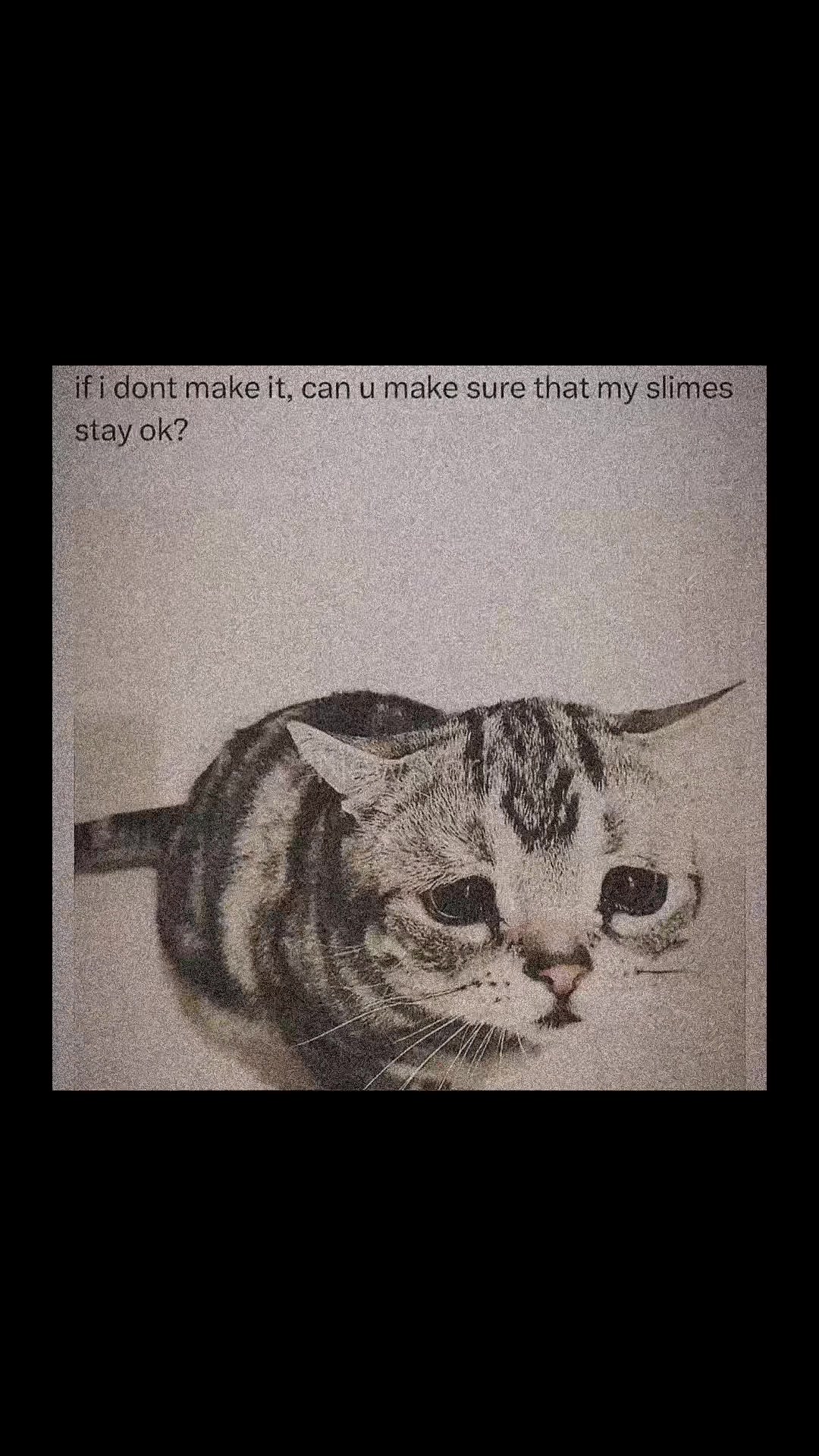 @plluto7