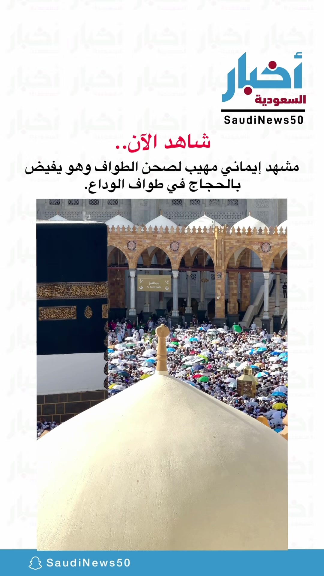 @أخبار السعودية