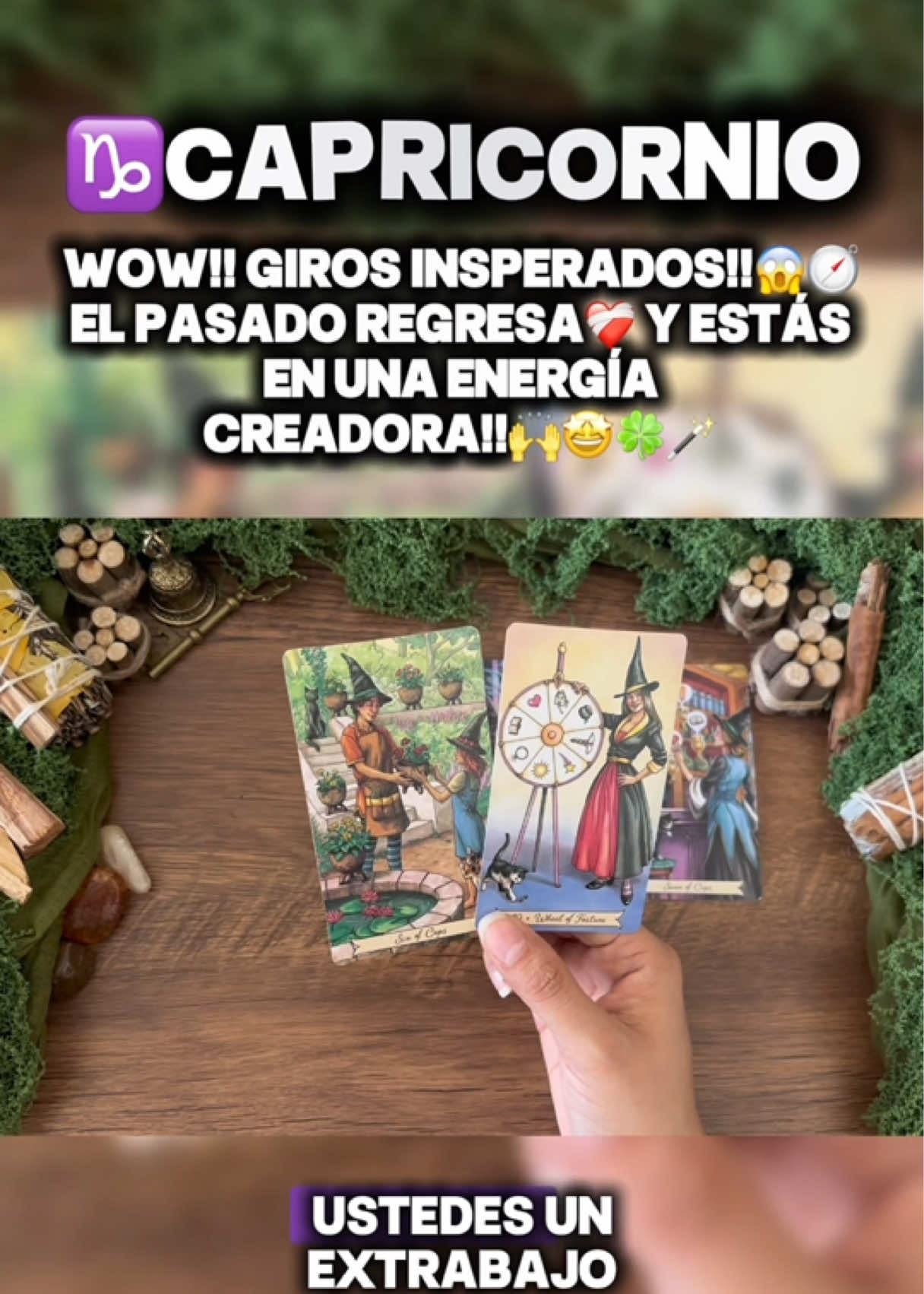 @Andy Sun Tarot ☀️