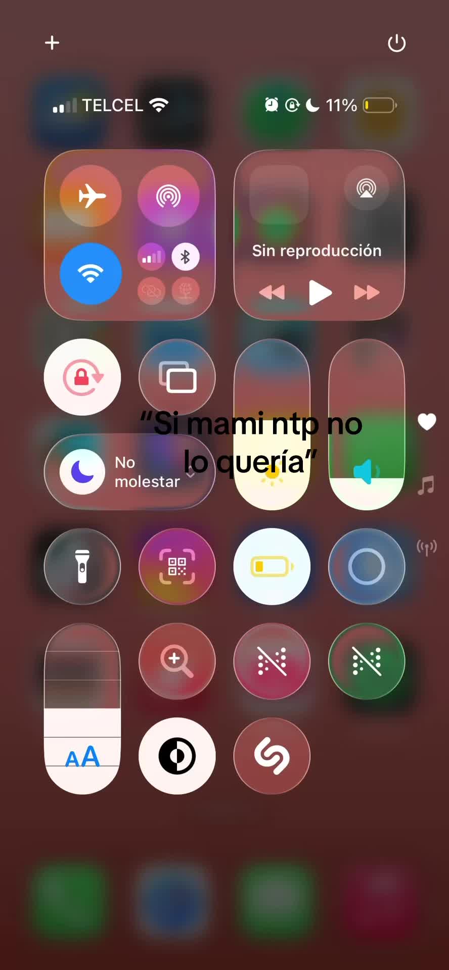 @🦇