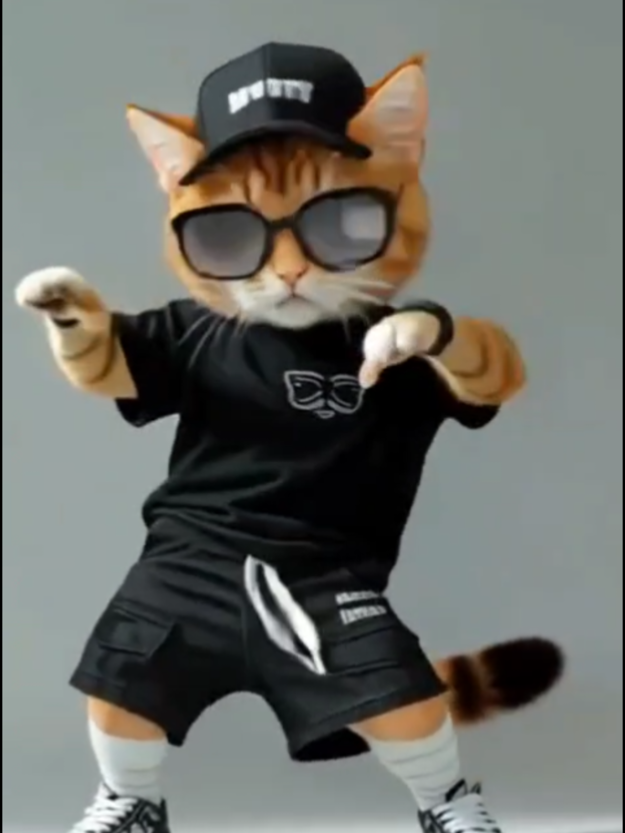 @AnimalDance555