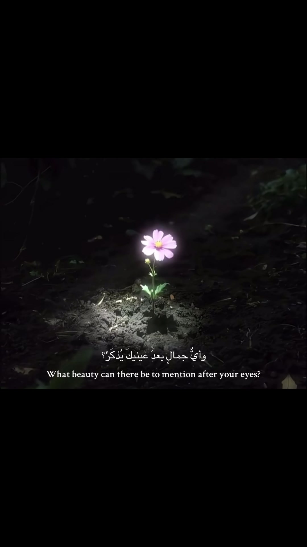 @islamfamm
