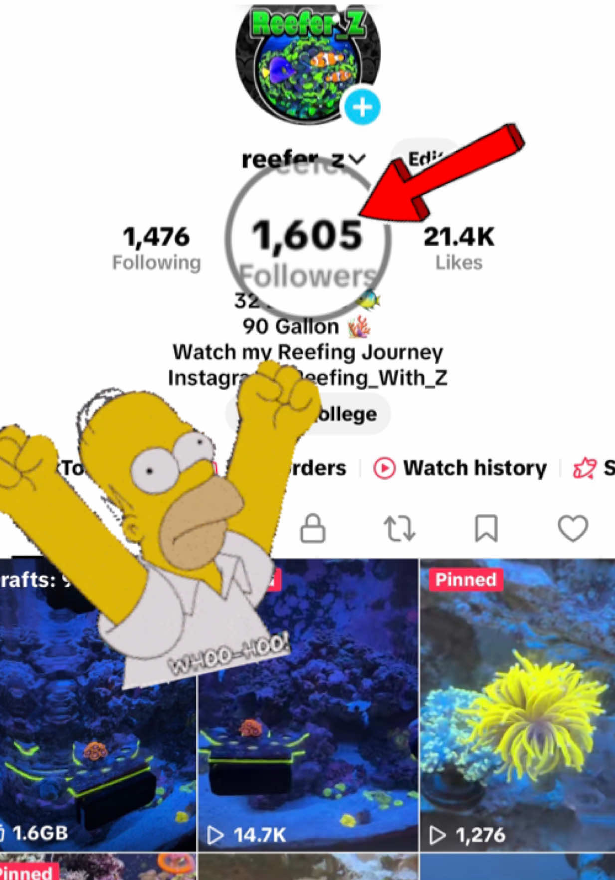 @reefer_z