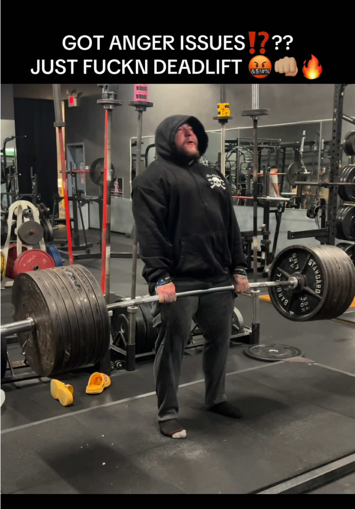 @GORILLA QUINN 🦍🇺🇸