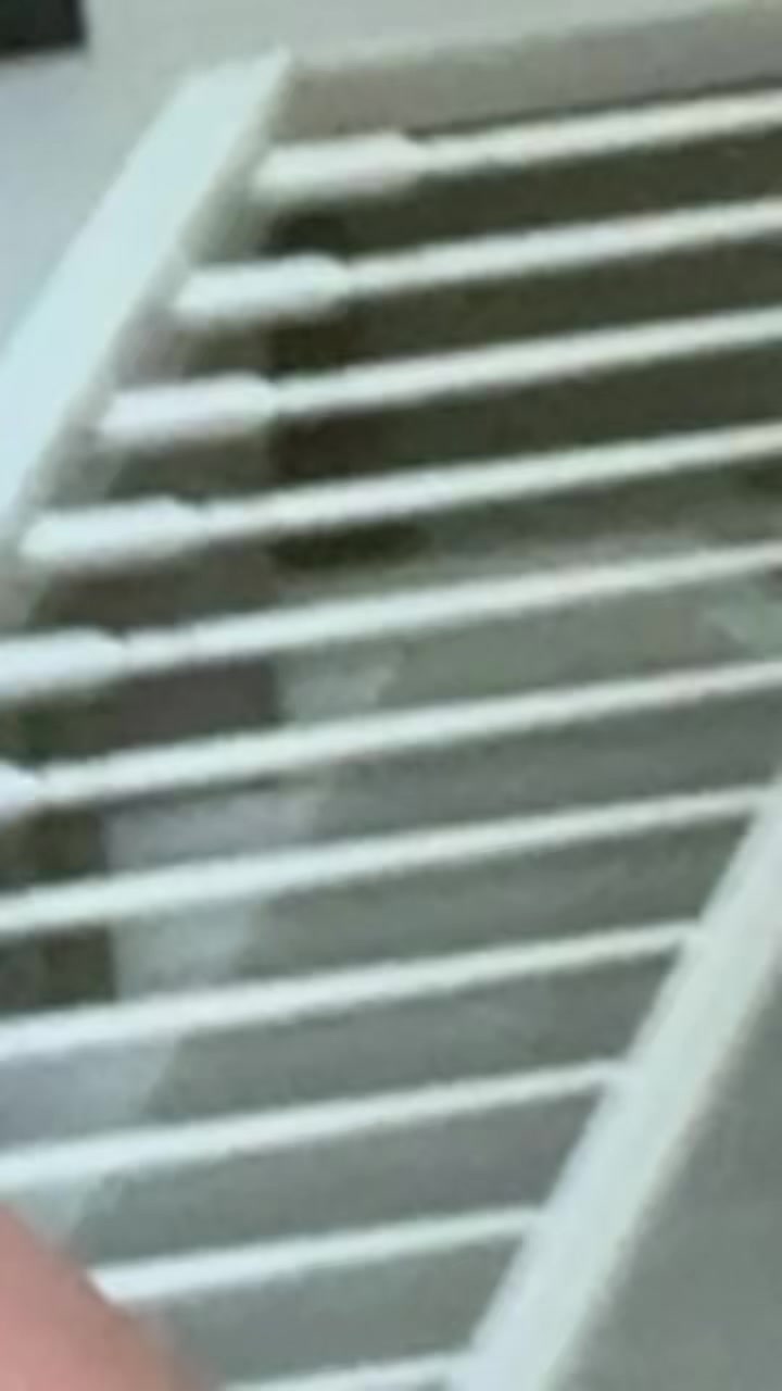 @zozoplayz67