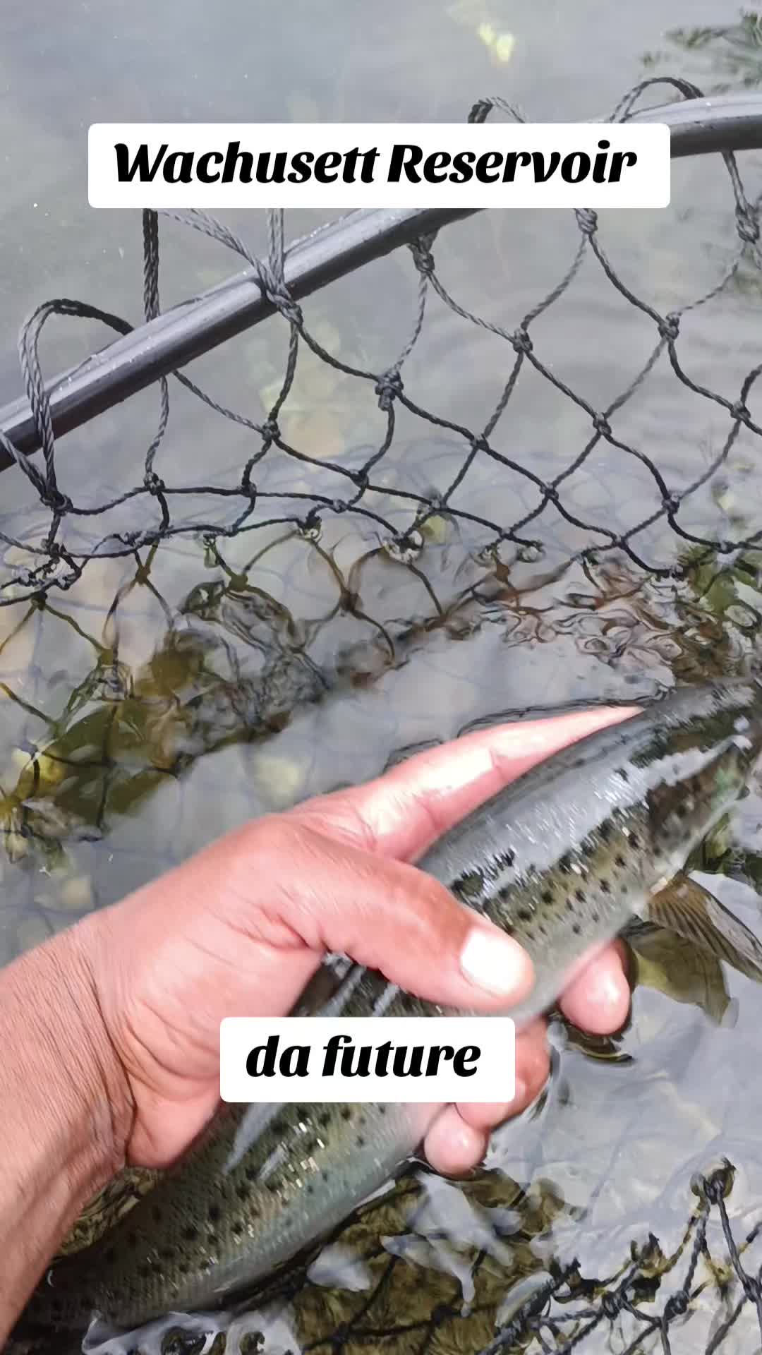 @Carlos Pagan