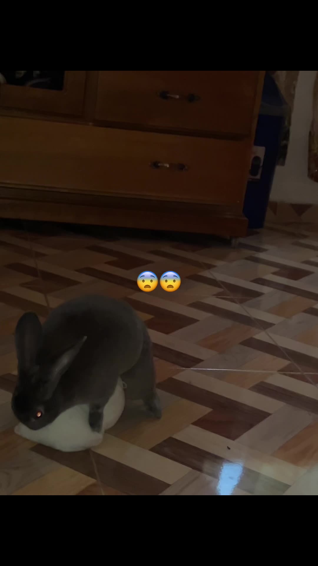 @Nasthia 🦇