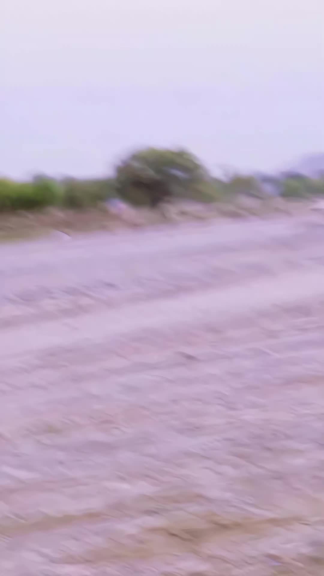 @⛎𝐒𝐔𝐃𝐈𝐄𝐒❤️🔥𝐊𝐈𝐍𝐆⛎