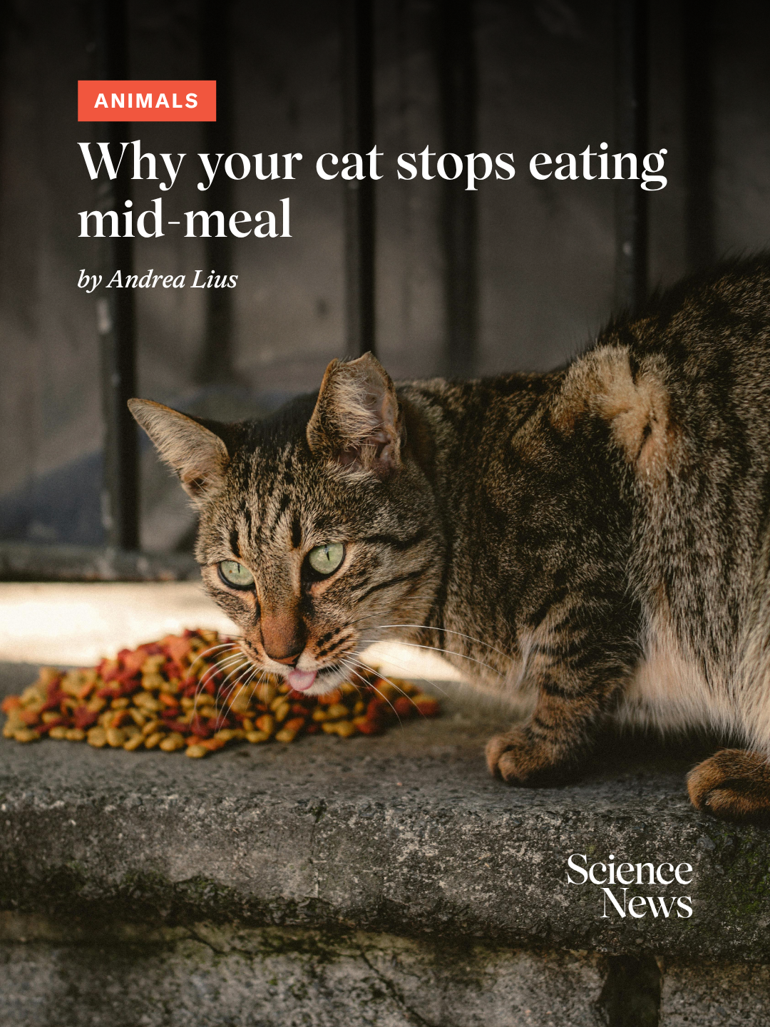 @Science News