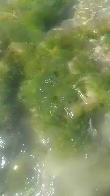 @عايشة حياة وحيدة