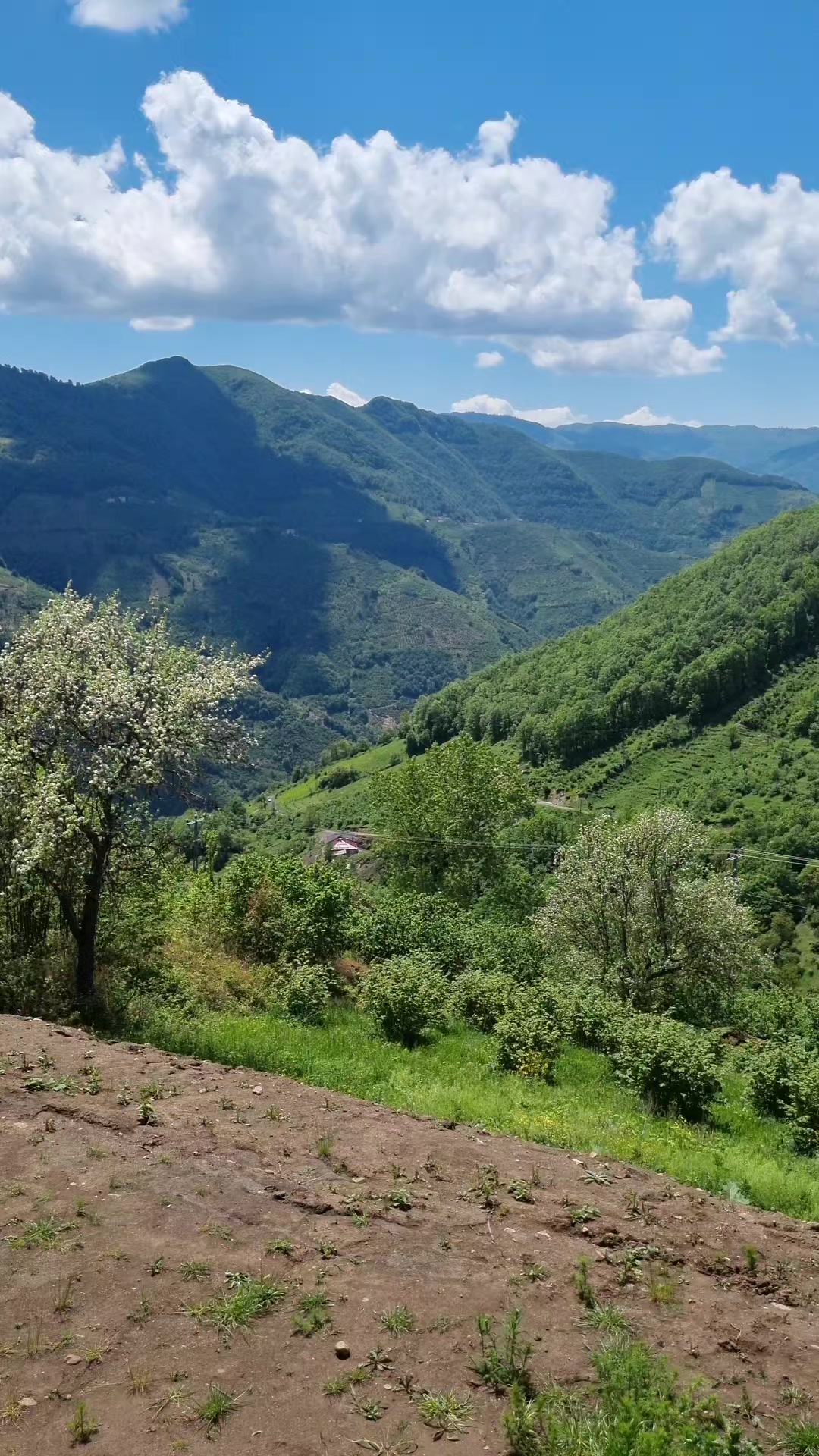 @Nry Güneş