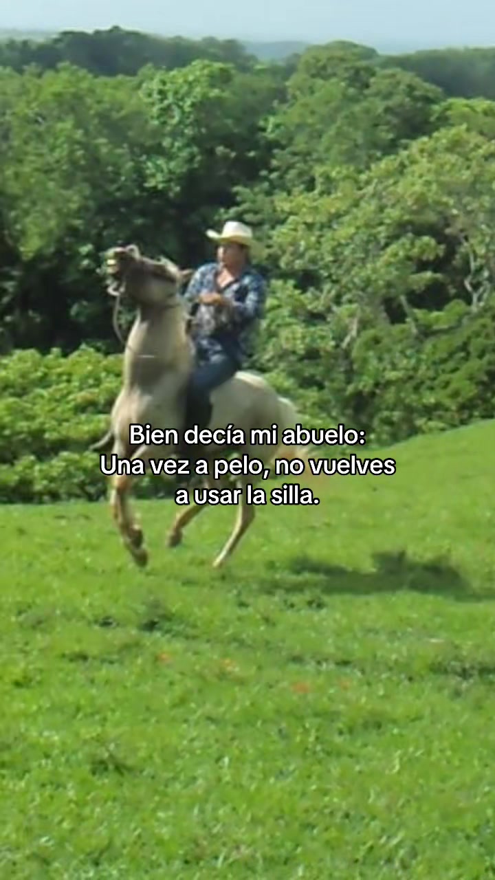 @Gustavo Aguirre